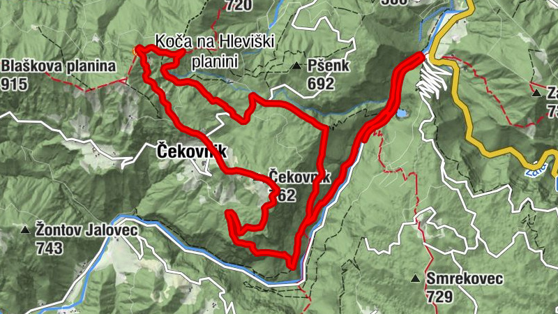 Carte