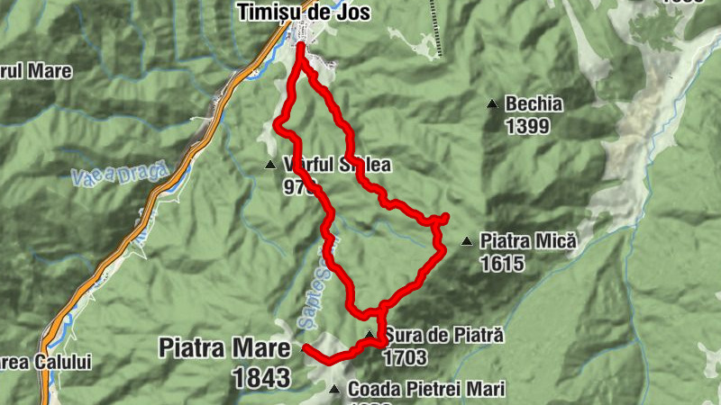 Carte