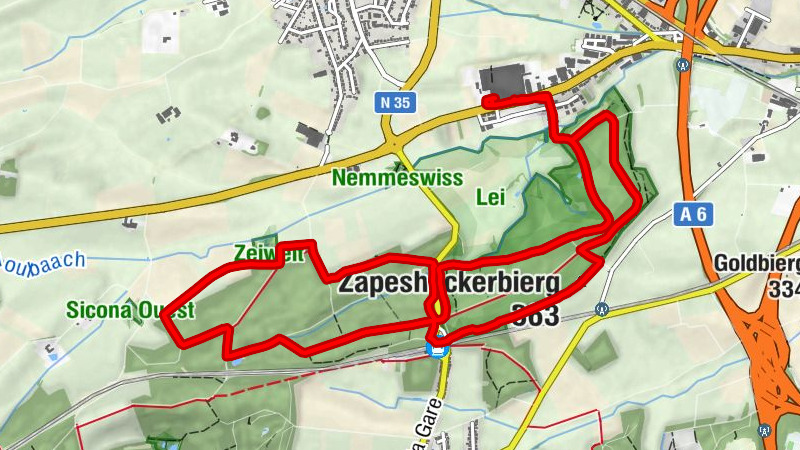 Carte