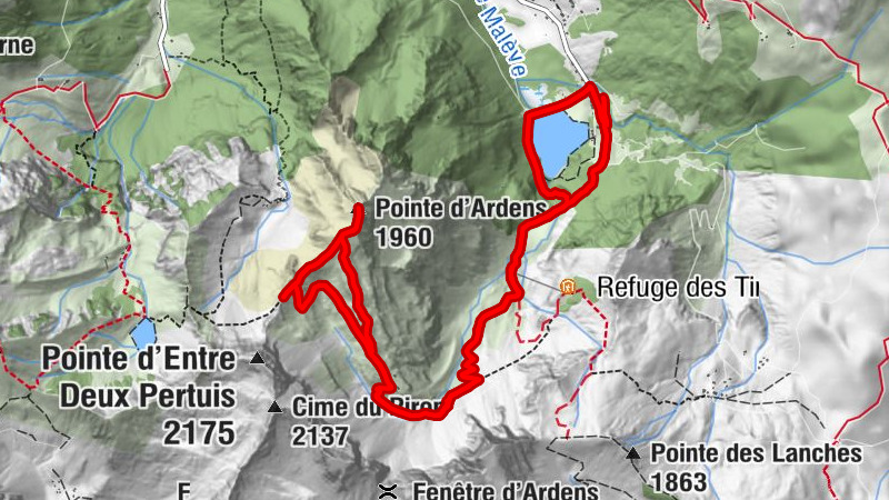 Carte