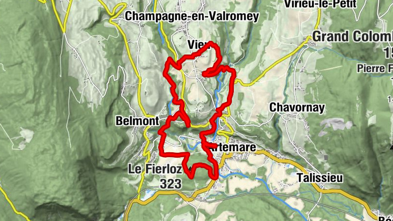 Carte