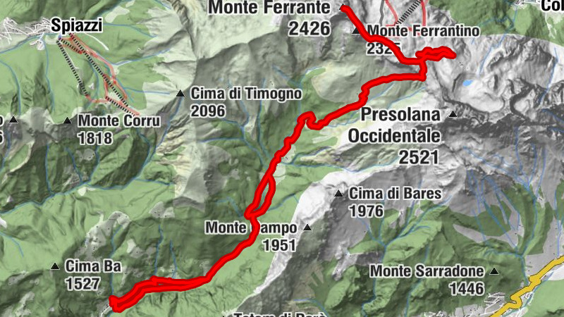 Carte