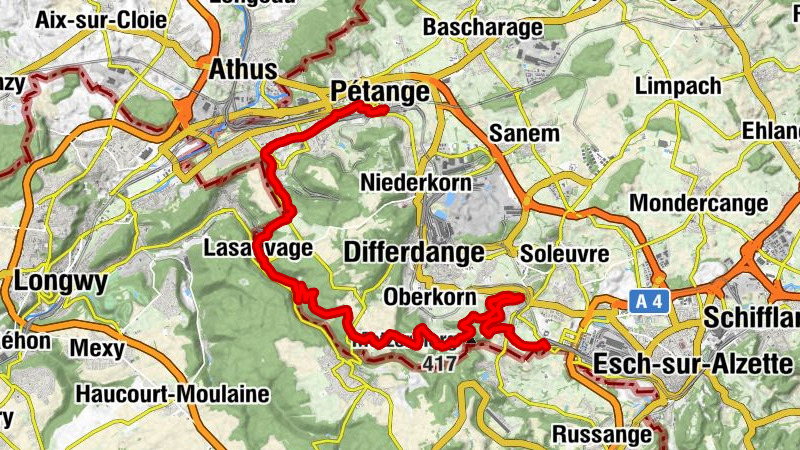 Carte