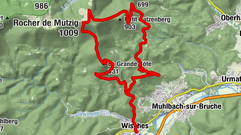 Carte