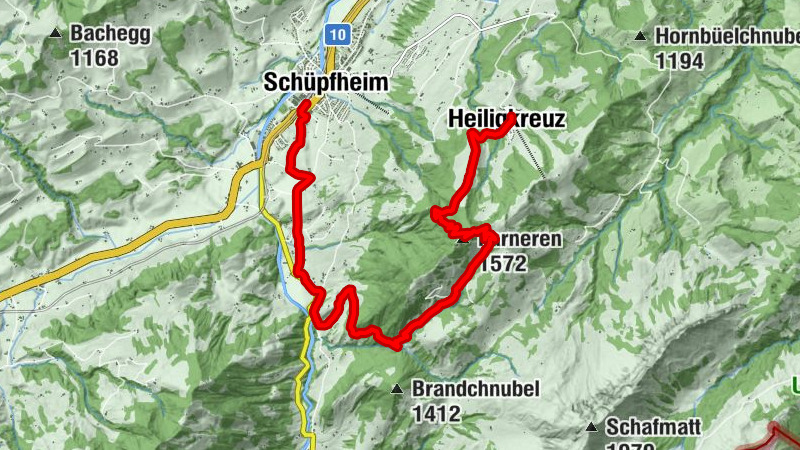 Carte