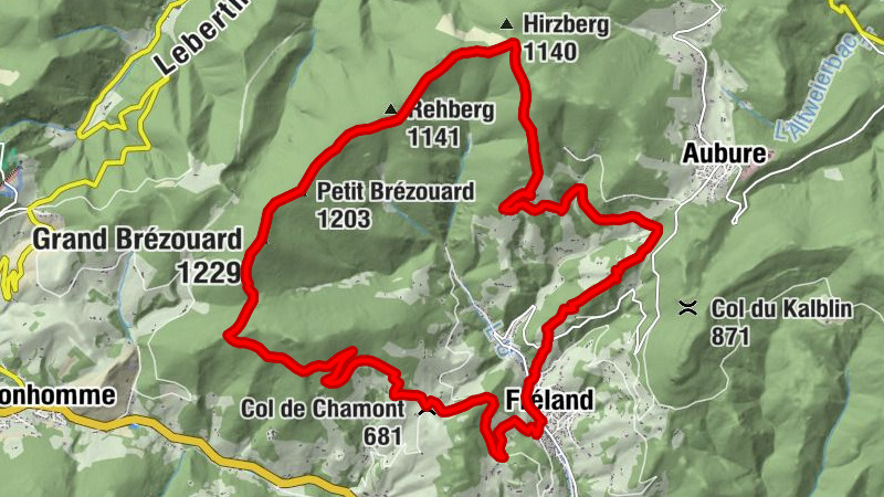 Carte