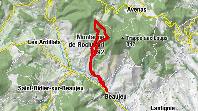 Carte