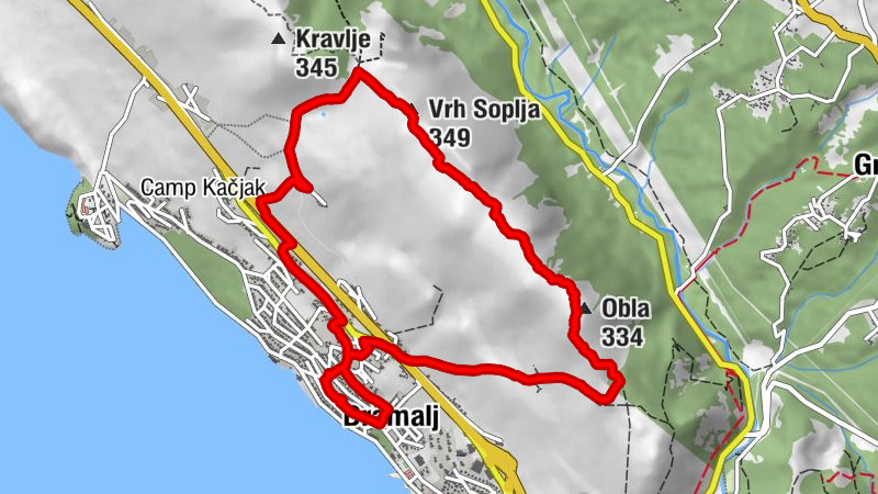 Carte