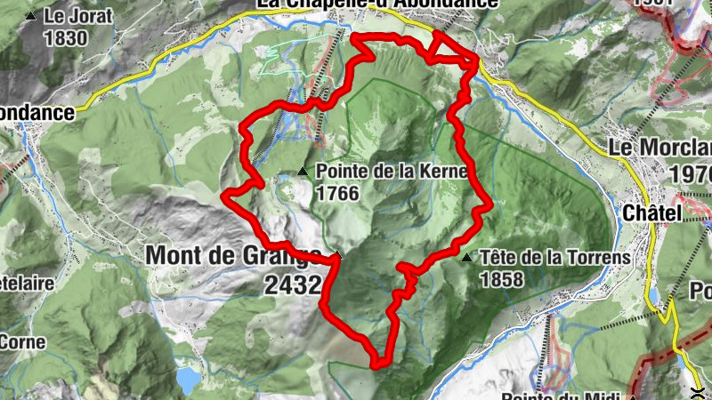 Carte