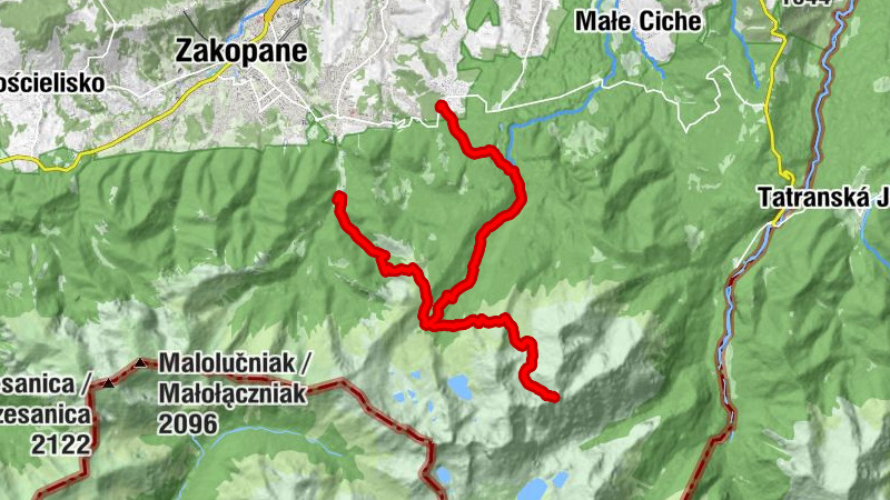 Carte