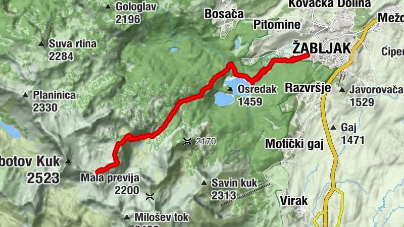 Carte