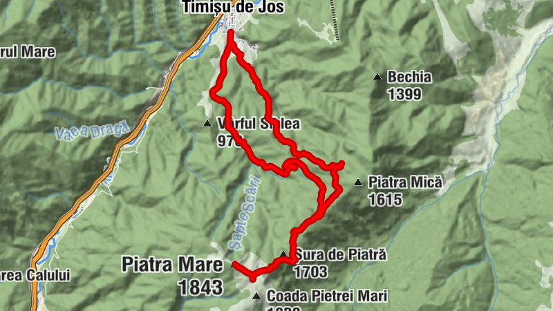 Carte