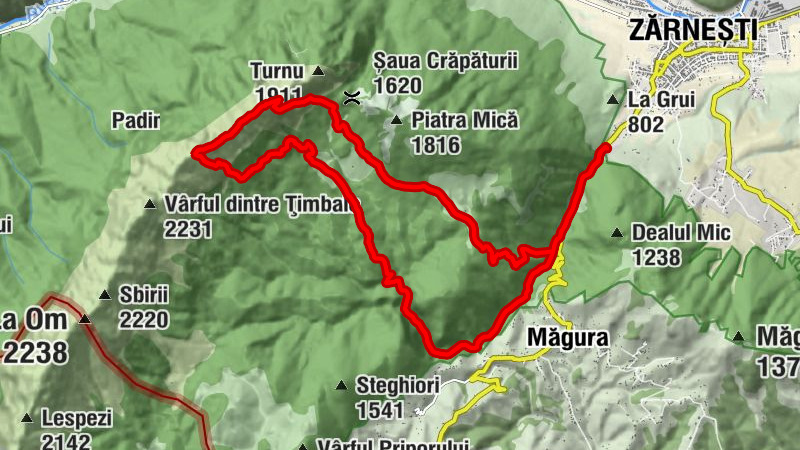 Carte