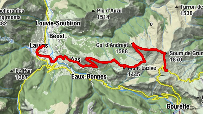 Carte