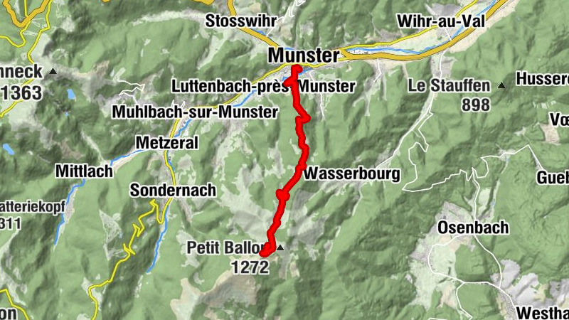 Carte