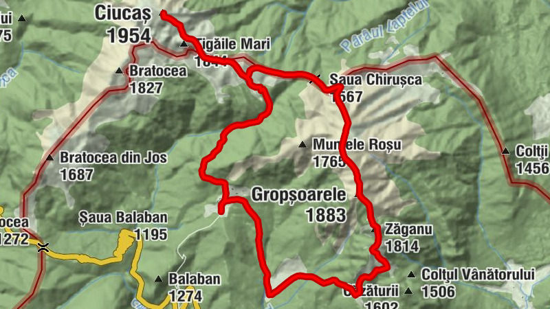 Carte