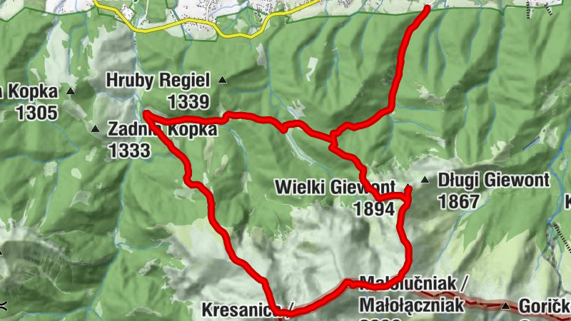 Carte