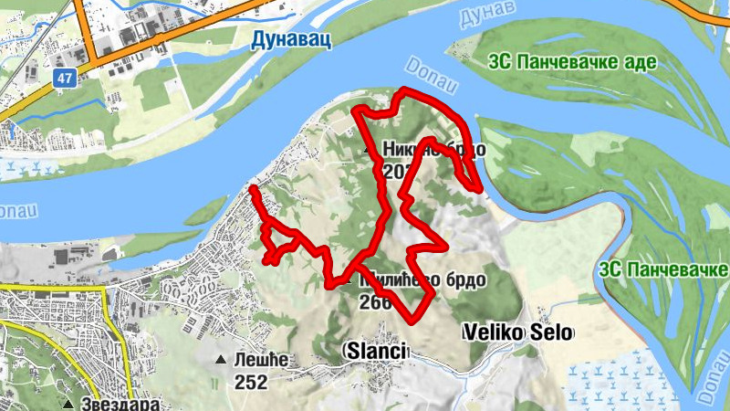 Carte