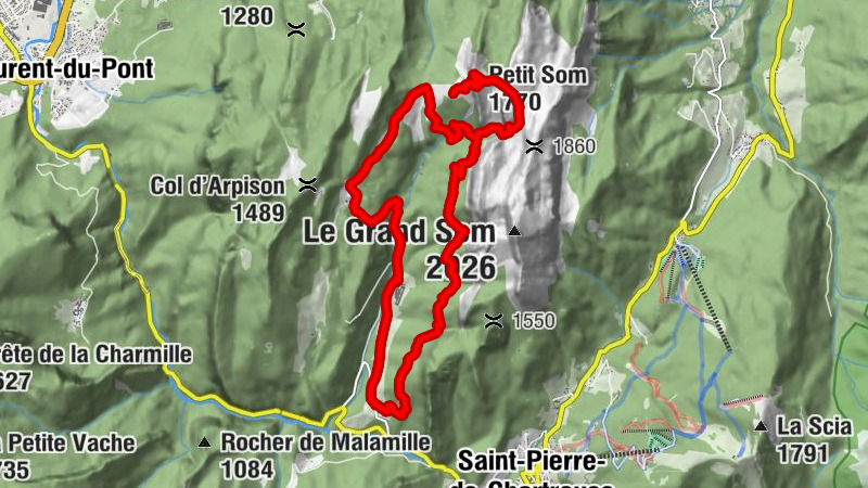 Carte
