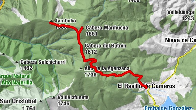 Carte