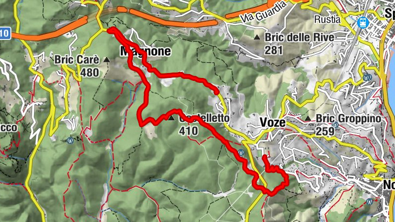 Carte