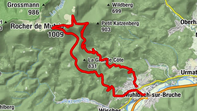 Carte