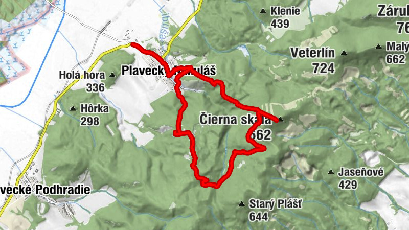 Carte