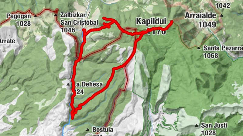Carte