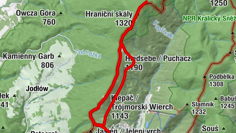 Carte