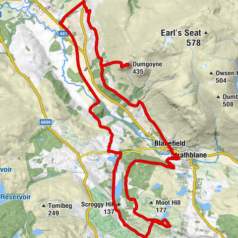 Stirling - Boards - Dumgoyne - Turnip the Beet
