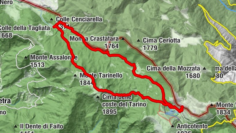 Carte