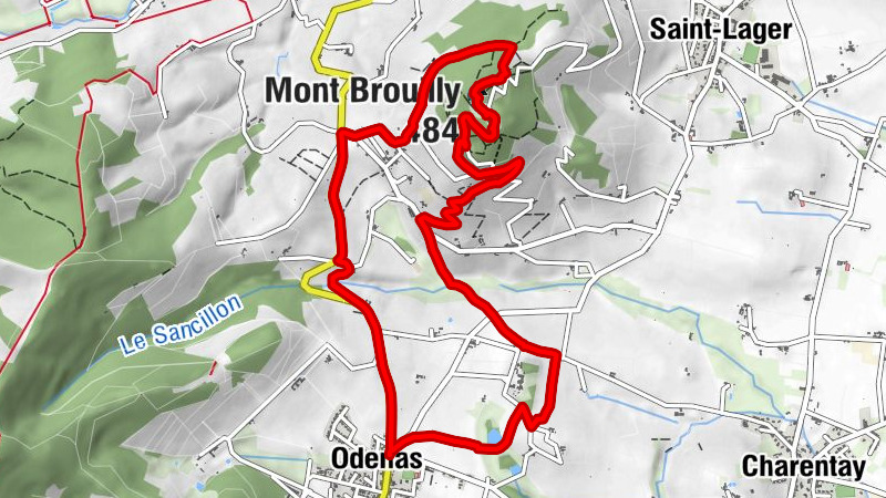 Carte