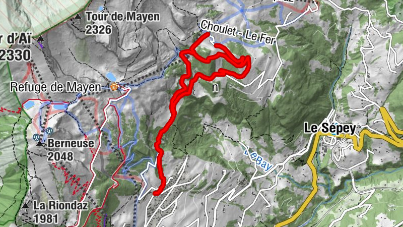 Carte