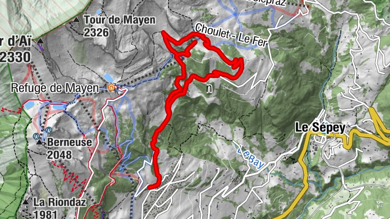 Carte