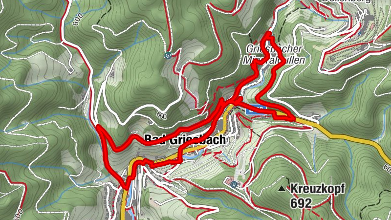 Carte