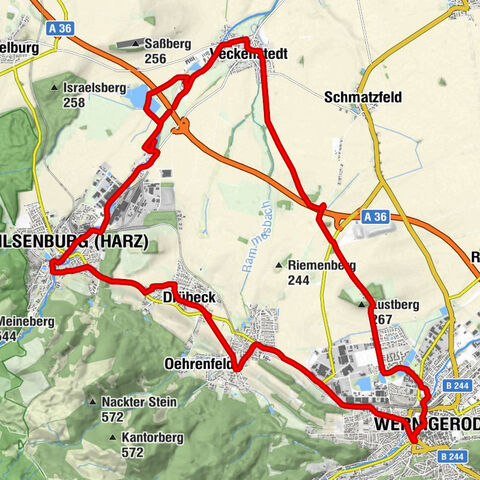 Wernigerode - St. Laurentius - St Benedikt - St. Martini