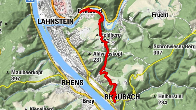 Carte