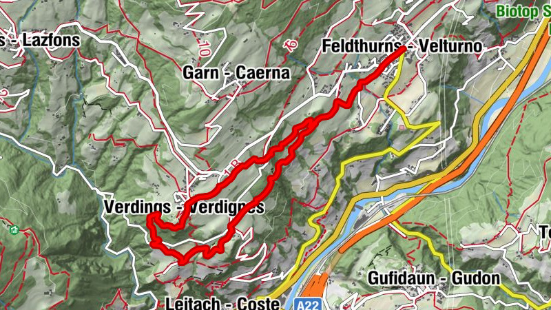 Carte