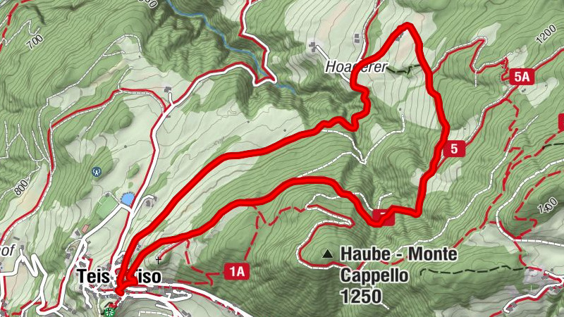 Carte