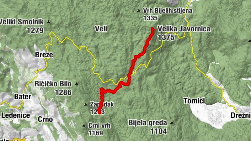 Carte