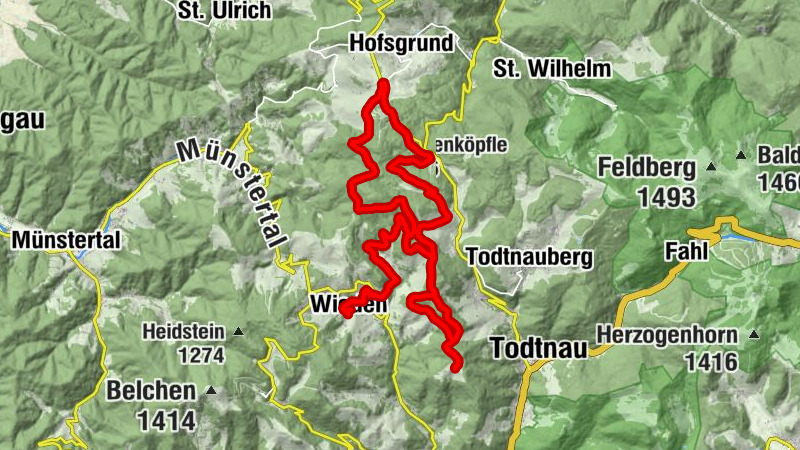 Carte