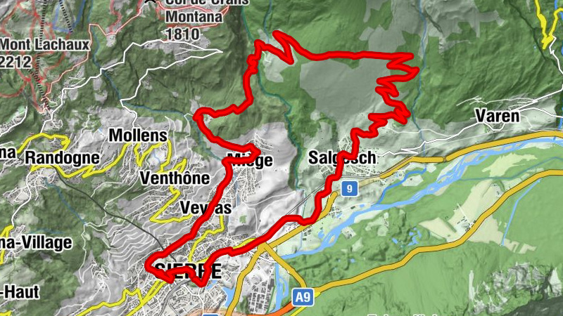 Carte