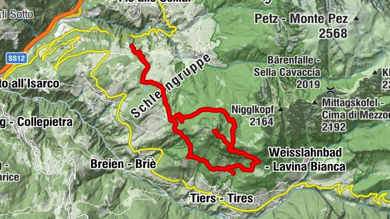 Carte