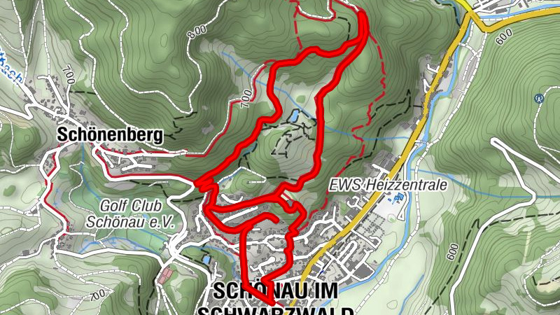Carte
