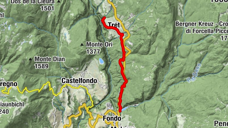Carte