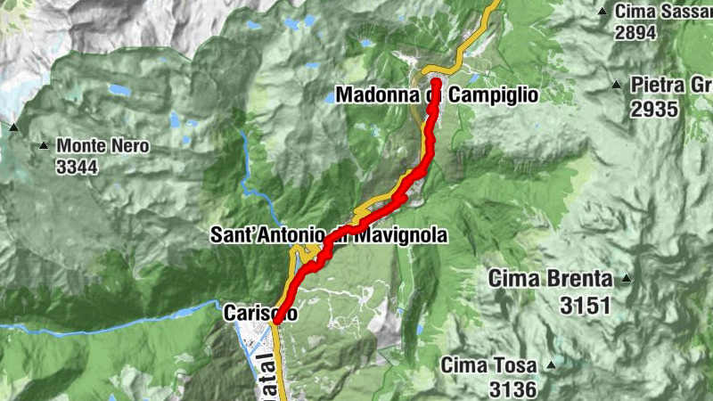 Carte