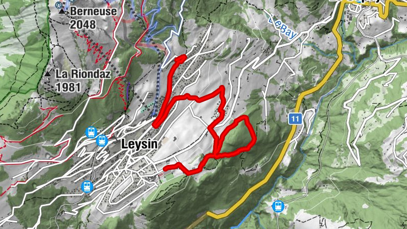 Carte