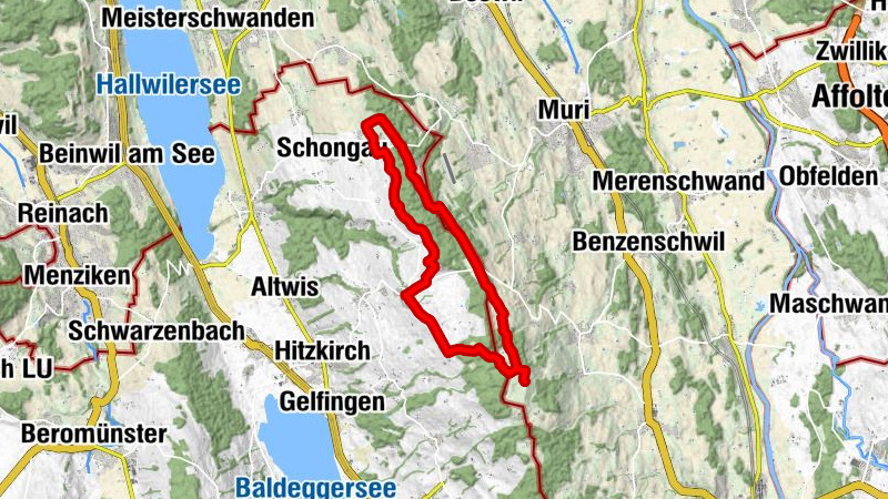 Carte