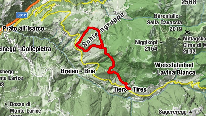 Carte