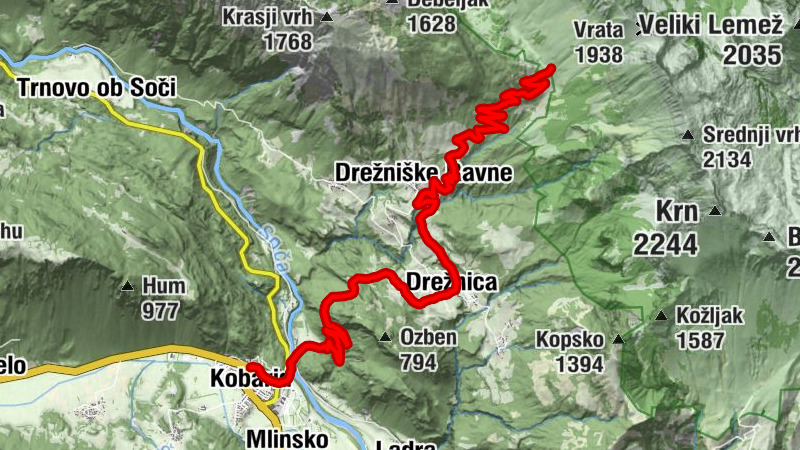 Carte